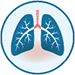 3-0-1_Lungs.jpg 